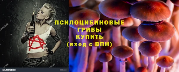 ECSTASY Остров