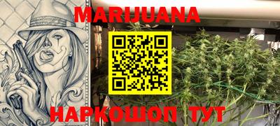 тгк Сланцы