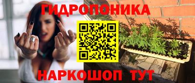 тгк Сланцы