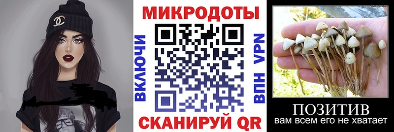 Галлюциногенные грибы Psilocybe  Рузаевка 