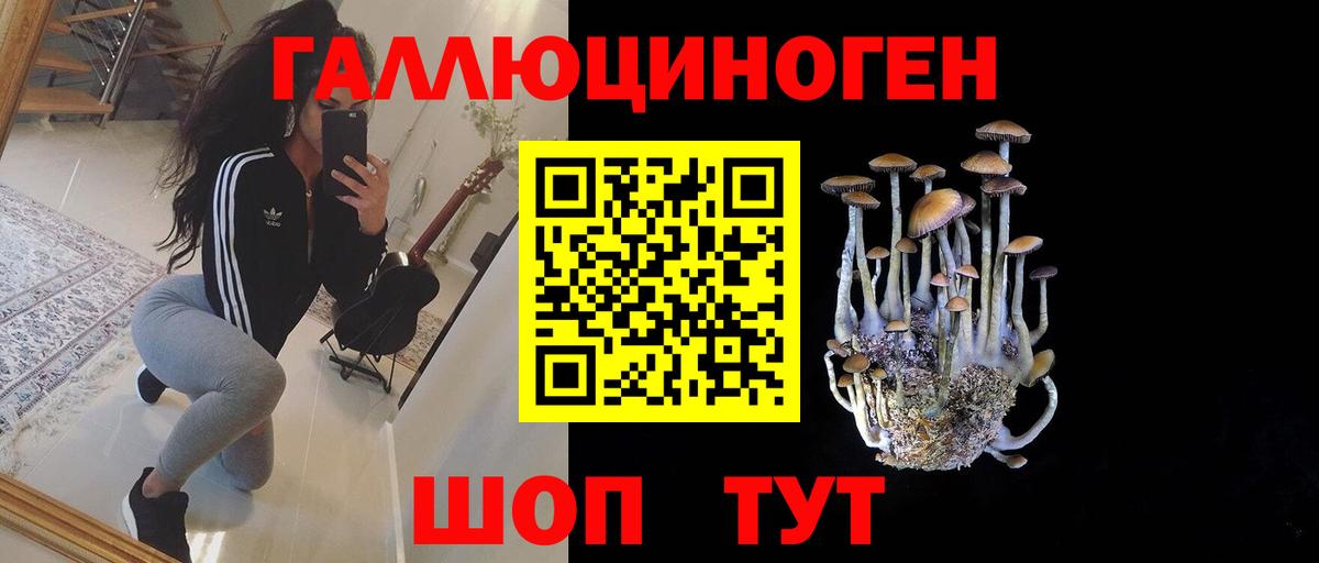 Рузаевка  Псилоцибиновые грибы MAGIC MUSHROOMS  Вход с VPN 