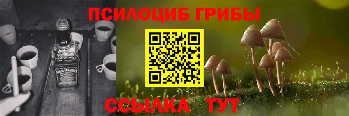 Галлюциногенные грибы мицелий Рузаевка